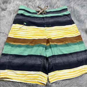 Patagonia Wavefarer Multicolored Striped Board Shorts Size 30
